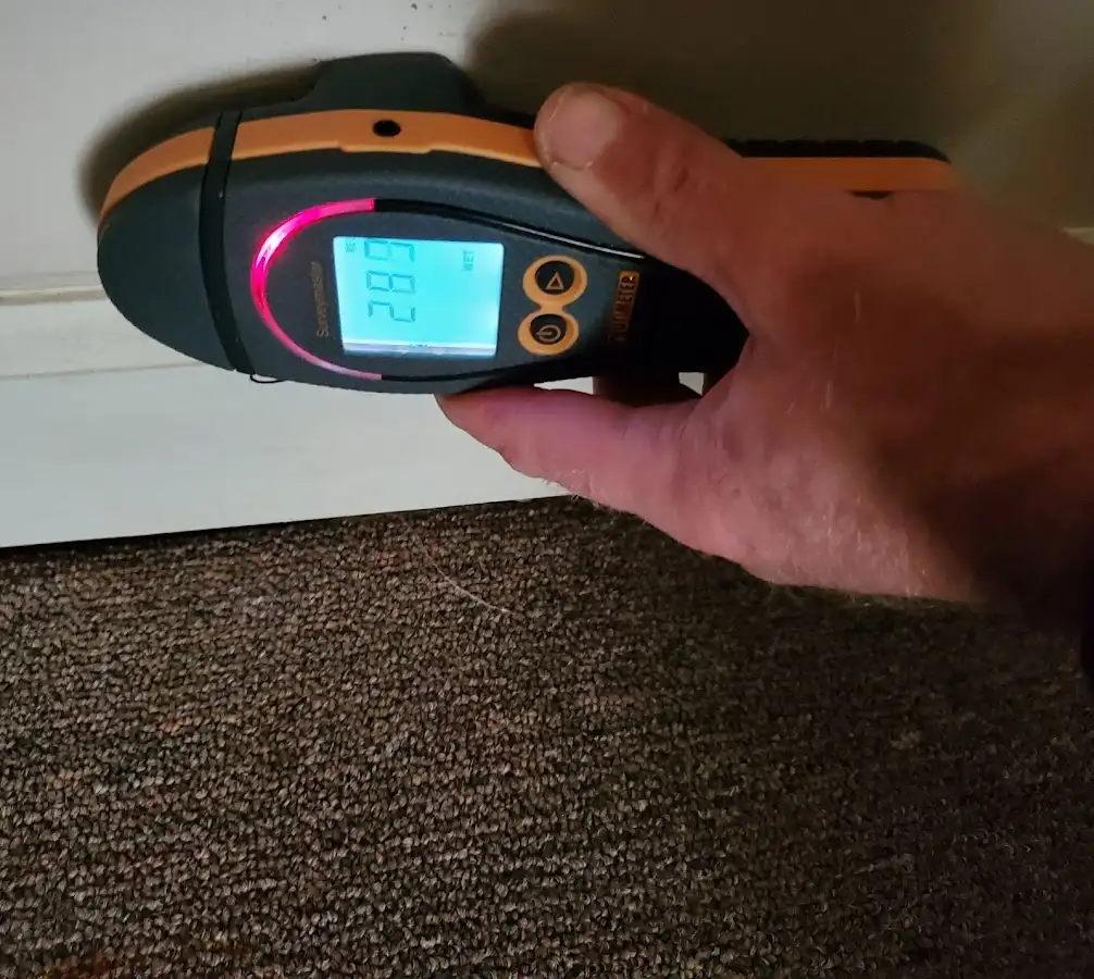 Moisture detection at baseboard during Mold Inspection & Testing in Union